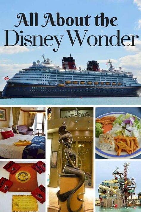 Disney Wonder Cruise Ship, Celebrity Eclipse, Disney Wonder Cruise, Disney Dream Cruise, Disney Wonder, Disney Cruise Vacation, Disney Cruise Ships, Disney Cruise Tips, Cruise Liner