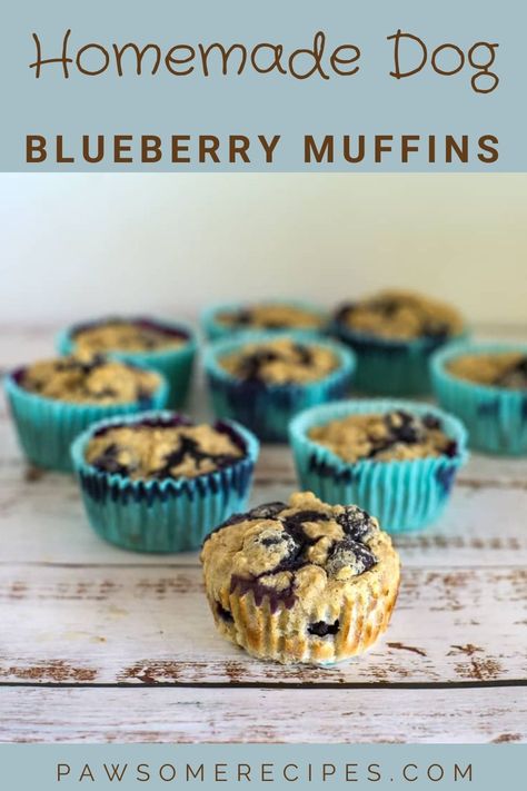 Dog Supply Storage, Using Blueberries, Dog Supplies Storage, Pet Heaven, Dog Muffins, Horse Video, Homemade Pet Treats, Homemade Blueberry Muffins, Pet Treats Recipes