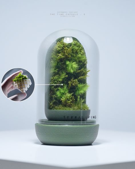 [Live Moss Terrarium] The latest addition to the Time Capsule - S family (CryoMoss Variant) features a futuristic, space-age minimalist weighted base with a richly textured 3D-printed surface inspired by how moss grows naturally over hard surfaces in the wild. Its main module is easily detachable from its base to pour off excessive water and is future-proof where you can replace just the main module itself. 🌳 About CryoMoss & Time Capsule planting system: 1. CryoMoss is a dormant live moss... Futuristic Space, Moss Terrarium, Vivarium, Time Capsule, Space Age, In The Wild, 3d Printed, 3d Print, Terrarium