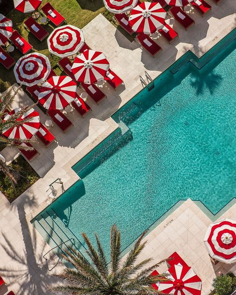 Iconic from every POV. ⁠🌹 📍 Faena Miami Beach ⁠ ⁠ Pool scenes are made serene at our legendary Faena pool. A symphony of luxury and… | Instagram Faena Miami, Faena Hotel Miami, Miami Pool, Red Hotel, Faena Hotel, Red Luxury, Volunteer Travel, Miami Hotels, Retro Disney