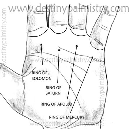 Ring of Solomon Meaning on the Palm - Destiny Palmistry Ring Of Solomon, Solomon Wisdom, Palmistry Reading, Solomons Ring, Understanding People, Rings Of Saturn, Chinese Book, I Ching, Palm Reading