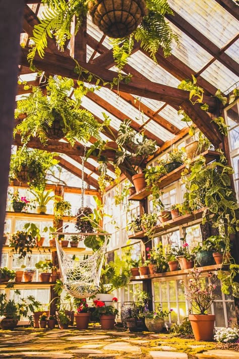 Greenhouse As Living Space, Yard Greenhouse, Greenhouse Aesthetic, Dream Greenhouse, Vaughan House, Outdoor Greenhouse, Greenhouse Interiors, Home Greenhouse, Virginia Wedding Venues