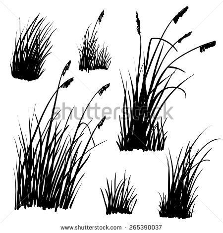 Set of hand drawn beach grass. Vector. - stock vector Trillium Tattoo, Grass Images, Grass Silhouette, Grass Drawing, Grass Vector, Beach Grass, Flowers Art, Art Flowers, Vector Stock