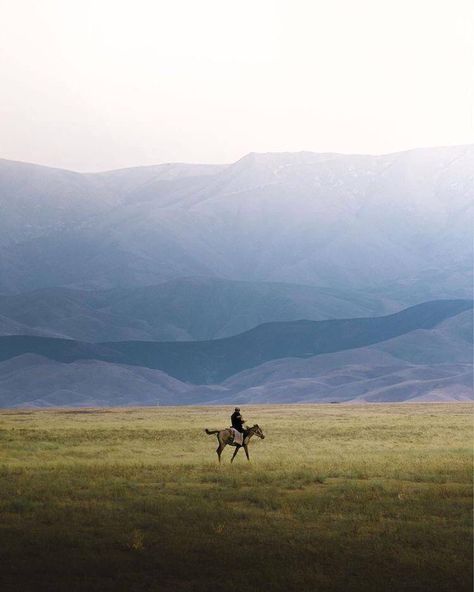 Kazakhstan Culture Aesthetic, Kazakh Aesthetic Wallpaper, Nomads Aesthetic, Kazakh Wallpapers, Kyrgyzstan Aesthetic, Person Riding A Horse, Kazakh Culture, Kazakh Aesthetic, Kazakh Vibe