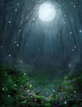 Elementalia: The Two Sides - Chapter 04 - To where my Fate leads me - Wattpad Small Lights, Forest Aesthetic, Fairy Stories, Stars In The Sky, Inspiration Tattoos, Midsummer Nights Dream, Beautiful Moon, Magical Forest, Moon Goddess