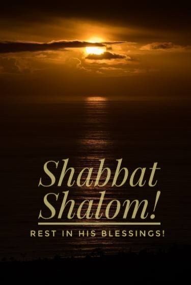 Shalom Shabbat, Sabbath Blessings, Happy Sabbath Quotes, Hanukkah Traditions, Happy Sabbath Images, Jewish Quotes, Sabbath Quotes, Shabbat Shalom Images, Torah Study