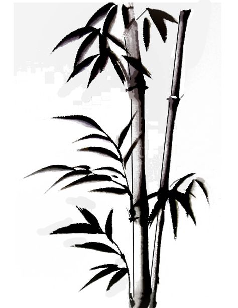 Bamboo Tattoo Ideas Design, Japanese Bamboo Tattoo, Bamboo Tattoo Design, Bamboo Tattoo Ideas, Drawing Bamboo, Bamboo Clipart, Bamboo Mural, Bamboo Art Painting, Tree Murals