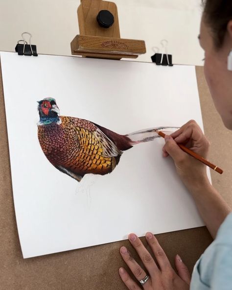 One of the true symbols of the British countryside can be the pheasant and I have titled this drawing ‘Feathers’, simply because when I was studying the reference photo I was blown away by the vibrant colours found on its feathers 🪶 You deserve to enjoy art and if you’re a fan of the countryside I hope you appreciate this depiction of a pheasant. I would love to hear your thoughts if this drawing resonates with you #pheasantshooting #pheasantdrawing #gamefair #gameshootinguk #gameshooting... Pheasant Photos, Watercolor Pheasant, Pheasant Drawing, Drawing Feathers, Pheasant Shooting, Countryside Art, Living Wall Art, British Country, British Wildlife