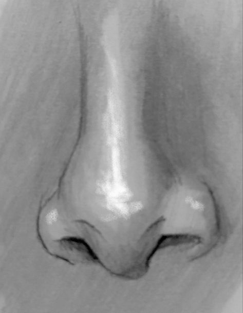 #drawing#art#nose Upward Nose Drawing, Upturned Nose Drawing, Drawing Of A Nose, Nose From The Front Drawing, Drawing Different Nose Shapes, Big Nose Front View Drawing, Nose Pencil Drawing, Fat Nose, Nose Drawings