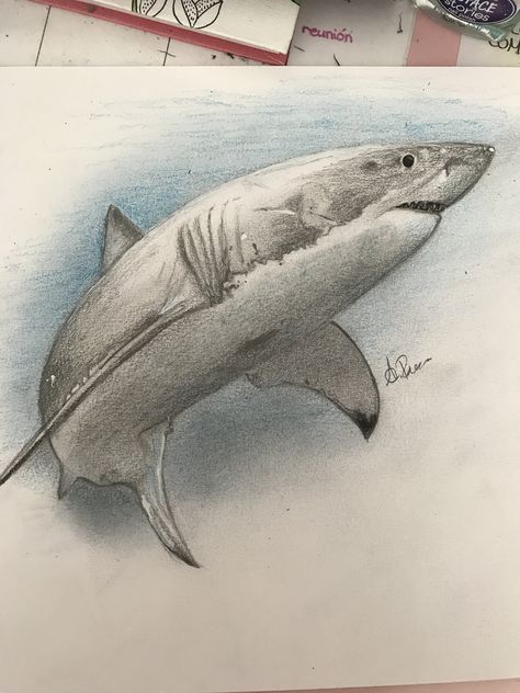 Shark Drawing Color Pencil, Shark Realistic Drawing, Shark Drawing Color, Shark Drawing Sketches, Great White Shark Drawing, Horror Drawings, Geometry Art Design, Doodling Ideas, Woodburning Ideas