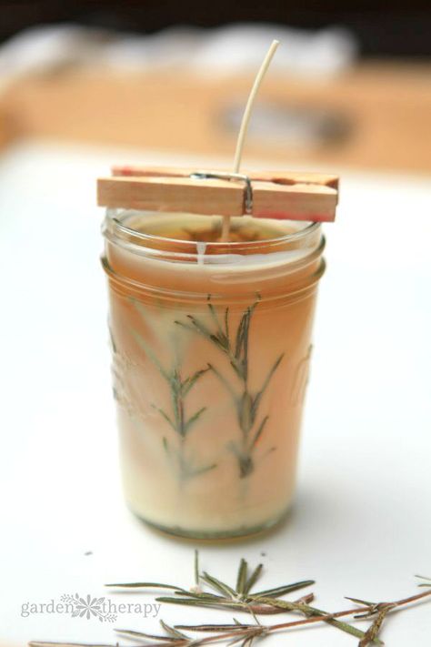 The scent of rosemary is purported to help aid focus and memory, plus it smells wonderful and cozy mixed with the beeswax and evergreen essential oils. These easy-to-make candles can be used as beautiful handmade gifts or a special treat for just you! #candlemaking #candles #rosemerry #pressedherbs #homemadegifts #handmadegifts #homemadecandles #gardentherapy Rosemary Candles, Herbs For Sleep, Herbal Candles, Diy Bucket, Herb Candles, Gourd Crafts, Candle Making Business, Mason Jar Candles, Homemade Candles