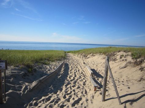 Next time you want to rejuvenate on a beach that goes on as far as the eye can see, we'd argue that Race Point Beach absolute perfection. Race Point Beach Massachusetts, Race Point Beach, Unique Destinations, Cape Cod Beaches, Bike Trail, Bike Trails, Summer 2022, Cape Cod, Fun Things