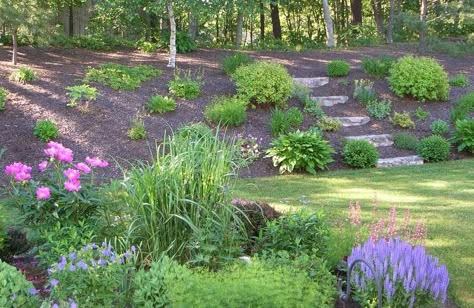 Planting Slopes, Steep Landscaping, Slope Planting, Hill Backyard, Sloped Landscape, Evergreen Landscaping, Hillside Gardens, Backyard Hill Landscaping, Hillside Landscape