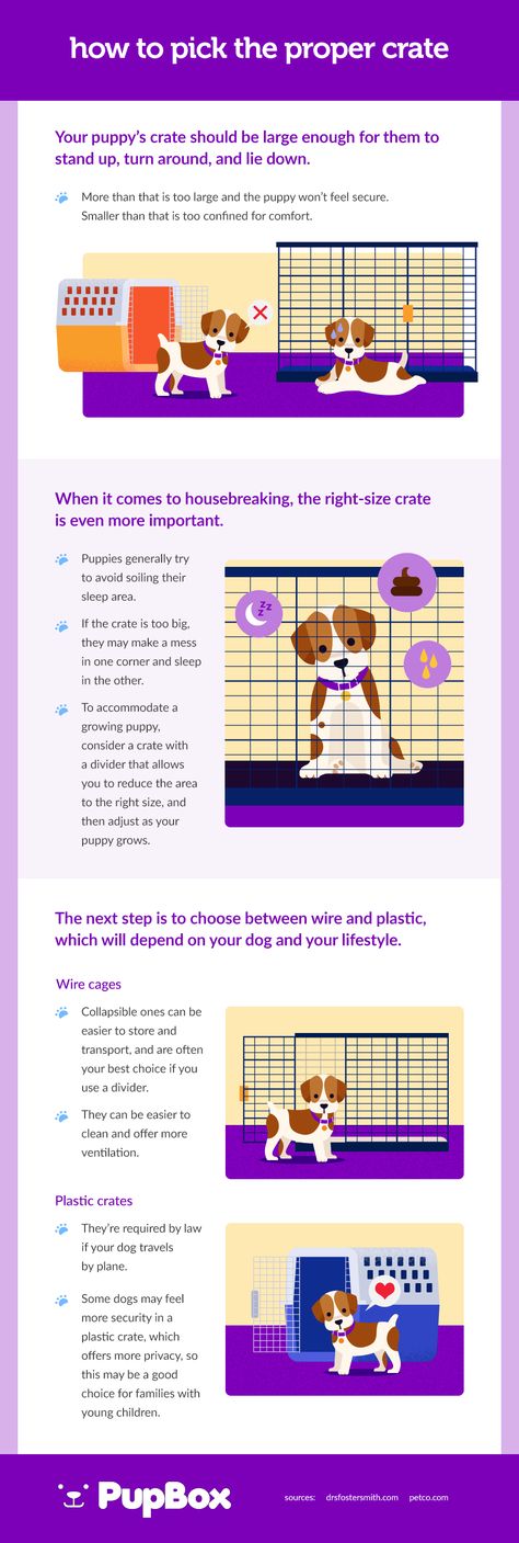 4 Steps to Crate Train Your Puppy | PawLeaks Puppy Set Up Ideas, First Night With Puppy, Boston Terrier Pups, Puppy Toilet Training, German Shepherd Puppies Training, Stay At Home Dog Mom, Crate Train, Tired Puppy, Puppy Development