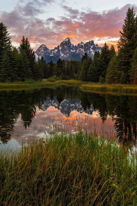 Schwabacher Landing in Grand Teton National Park. What a magical place! OC 4016 x 6016 Schwabacher Landing, Simple Landscape, Landscaping Simple, Pretty Landscapes, Landscape Illustration, Natural Life, Nature Landscape, Yellowstone National Park, Magical Places