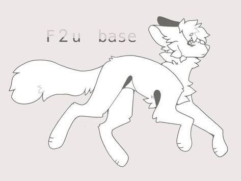 F2u Base, Wolf Base, Cat Drawing Tutorial, Warrior Cat Drawings, Anime Boy Sketch, Warrior Cats Art, Canine Art, Cute Animal Drawings Kawaii, Cat Character