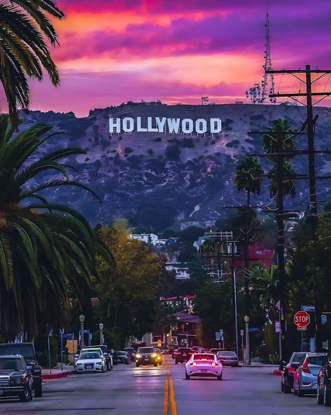 Taking A Picture, Travel Buddy, Hollywood Sign, California Love, Food Tips, But First, Hollywood, Angeles, California