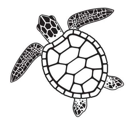 Pictures Of Turtles, Turtle Sketch, Turtle Tattoo Designs, Turtle Drawing, Turtle Tattoo, Cerámica Ideas, Turtle Art, Easy Coloring Pages, Metal Plaque