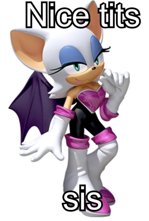 Rouge From Sonic, Sonic The Hedgehog Rouge, Knuckles Rouge, Master Emerald, Sonic Free Riders, Sonic Images, Big The Cat, Sonic Generations, Sonic Underground