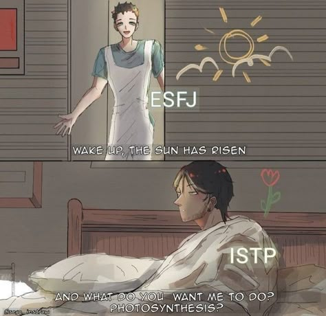 MBTI ships - Credit: @seyo_insdraw 16personalities Fanart, Esfj Istp, Mbti Ships, Mbti Charts, Istp Personality, Intp T, Infj Mbti, Life Comics, Mbti Relationships