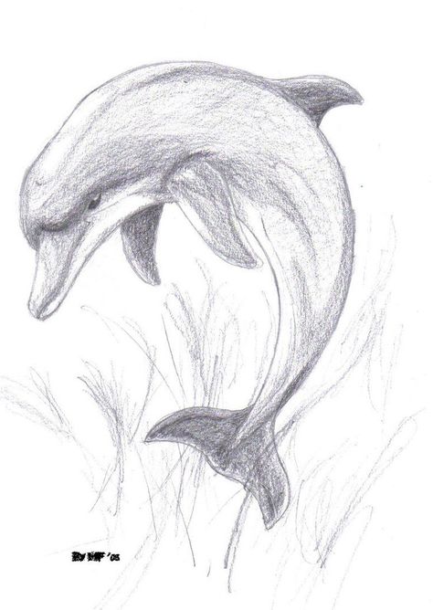 Wow the water's hot today! Easy Pencil Drawings, Dolphin Drawing, Pencil Drawings Of Animals, Animal Drawings Sketches, Pencil Drawings Easy, Art Drawings Sketches Pencil, Cutest Animals, Sister Tattoos, Art Drawings Sketches Creative