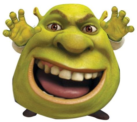 Shrek Funny, Shrek Memes, Reaction Memes, Really Funny Pictures, Random Memes, Very Funny, Haha Funny, Reaction Pics, Reaction Pictures