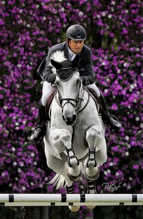 Hackney Horse, Western Horse Riding, Rare Horse Breeds, Largest Horse Breed, Unusual Horse, Canadian Horse, Horse Competition, Akhal Teke Horses, Rare Horses