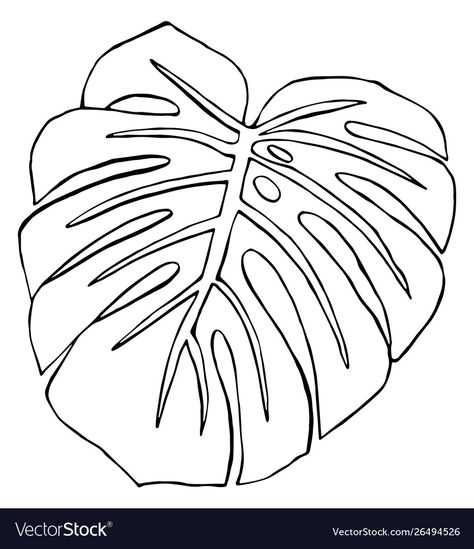 Monstera Deliciosa Tattoo, Leaf Pillows, Palm Tree Sketch, Leaf Black And White, Leaf Coloring Page, Leaf Vector, Leaves Changing Color, Botanical Line Drawing, Leaf Outline