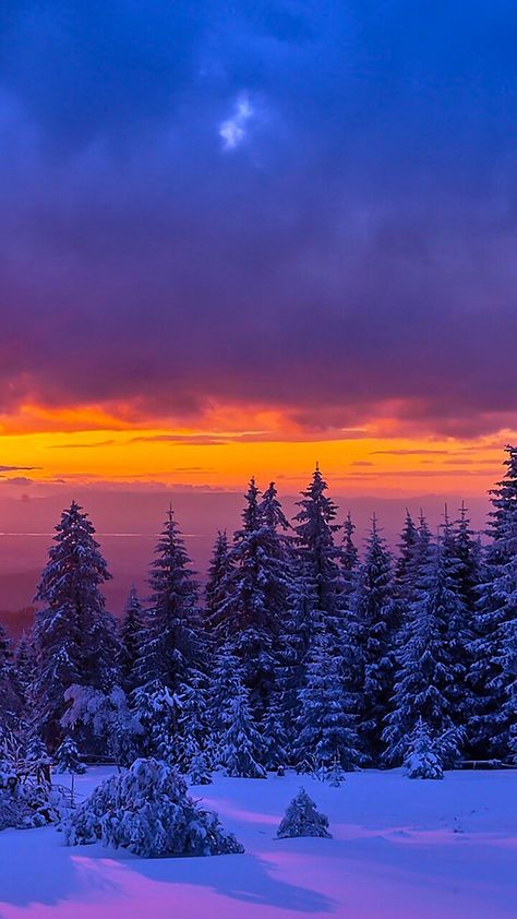 Winter Wonderland Wallpaper, Winter Landscape Photography, Qhd Wallpaper, Christmas Scenery, Beautiful Landscape Photography, Winter Sunset, Pretty Landscapes, Winter Pictures, Fall Pictures