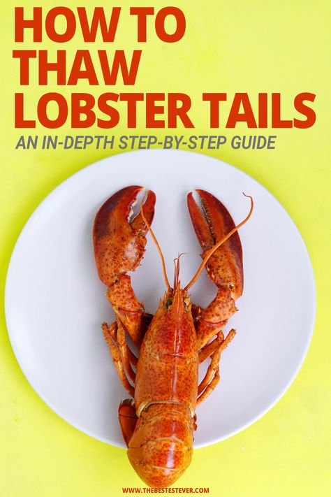 Cooking Frozen Lobster Tails, Elegant Meals, Baked Lobster Tails, Frozen Lobster Tails, Cooking Lobster Tails, Steamed Lobster, Lobster Sauce, Frozen Lobster, Lobster Recipes Tail