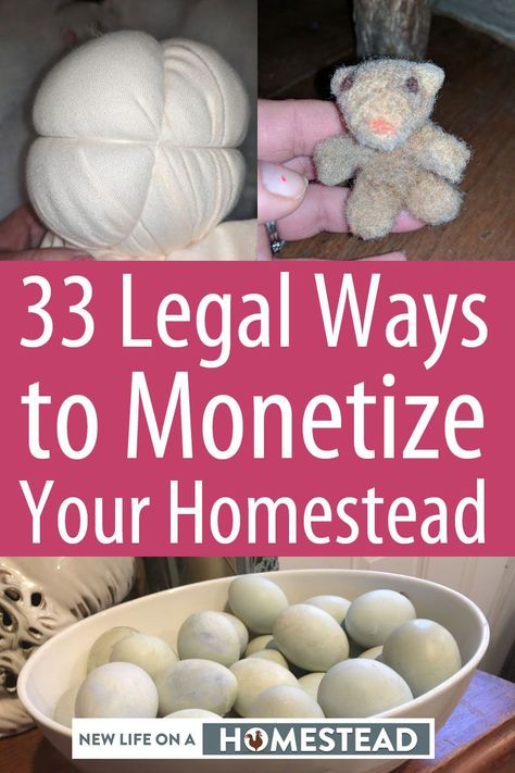 Things To Sell From Your Homestead, Homestead Products To Sell, Homestead Money Making Ideas, Ways To Make Money On A Farm, Making Money From Homestead, Making Money On A Farm, Making Money On A Small Farm, Homesteading Money Making, How To Start A Farm With No Money