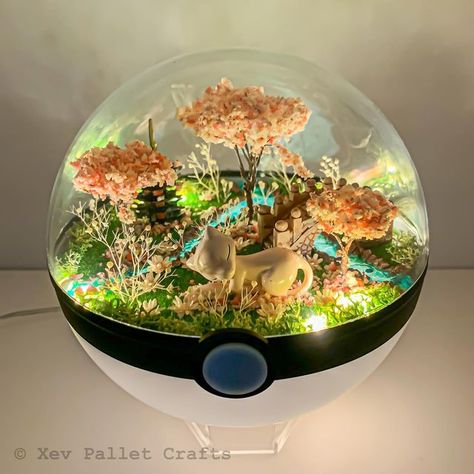 Pokemon Room Aesthetic, Pokemon Collection Room, Eevee Terrarium, Mew Pokemon, Pokemon Room Night Lights, Pokemon Shop, Pokemon Night Light, Pokemon Light, Pokemon Terrarium