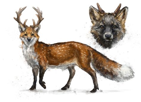 Dama vulpes by Kuroi-kisin on DeviantArt | fallow deer/fox creature Fox Creature, Composition Ideas, Hybrid Art, Fallow Deer, Peregrine Falcon, Gray Wolf, Mythical Animal, Canine Art, Monster Concept Art