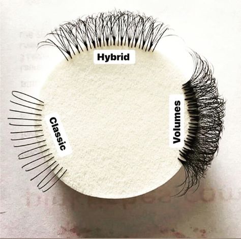 Different Types Of Lashes, Types Of Lashes, Eyelash Studio, Eyelashes Tutorial, Eyelash Extensions Salons, Lash Extentions, Eyelash Salon, Lash Quotes, Eyelash Tips