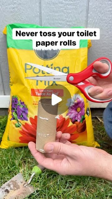 Liz & Jeff on Instagram: "Upcycle toilet paper roll as a seed starter #gardening #garden #plants #veggies #upcycle" Upcycled Toilet Paper Rolls, Seed Starter, Toilet Paper Roll, Original Video, Paper Roll, Grow Your Own, Growing Plants, Gardening Tips, Toilet Paper