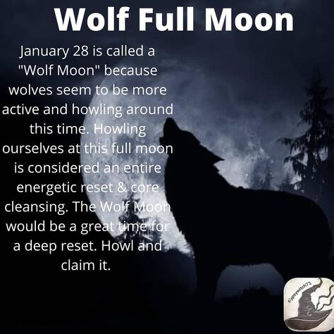 Moons Of The Year, January Full Moon, Month Zodiac Signs, Magic Transformation, Happy January, Calendar Schedule, Moon Names, W.i.t.c.h Aesthetic, Casting Spells