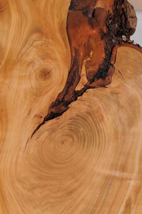 European #cherry. #wood #structure #grain Burnt Wood, Wood Texture Aesthetic, Raw Wood Texture, Wood Aesthetic, Wood Grain Aesthetic, Wood Bark Texture, Rough Wood Texture, Wood Grain Background, Tree Trunk Table