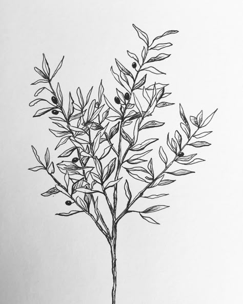 Olive Tree Branch Drawing, Olive Tree Tattoo Design, Olive Tree Sketch, Olive Tree Drawing, Olive Tree Logo, Forearm Tattoo Sleeve, Olive Tree Tattoo, Olive Tree Tattoos, Wall Drawing Ideas