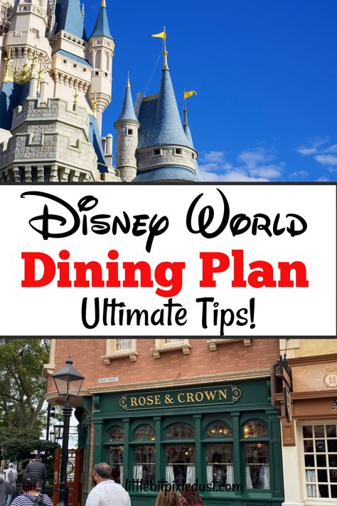 disney world dining plan tips Discount Disney World Tickets, Disneyland Snacks, Disney World Dining, Disney Travel Agents, Disney Eats, Disney Resort Hotels, Orlando Trip, Disney World Tickets, Dining Plan