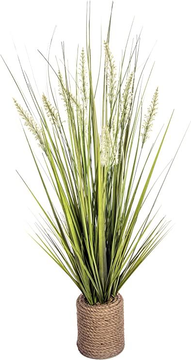 Amazon.com: Vintage Home Onion Grass in Rope Vase (17x17x40”H), Green (VHA102454) : Home & Kitchen Dried Grass Decor, Narrow Vase, Grass Artificial, Rectangle Planters, Floor Plants, Decor Pillows, Hemp Rope, Fake Plants, Seed Pods