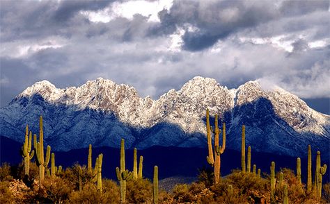 Four Peaks Arizona, Arizona Mountains Landscapes, Arizona Scenery, Maricopa Arizona, Bear Down Arizona, Snow In Arizona, Red Mountain Mesa Az, Vintage Arizona, Arizona Superstition Mountains