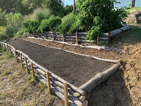 Hillside Gardens Sloped Yard, Raised Garden Beds On Hillside, Terraced Herb Garden, Raised Bed On Hill, Vegetable Garden On A Hill, Terraced Garden Beds, Garden On Hillside, Raised Garden Beds On A Slope, Hillside Garden Ideas