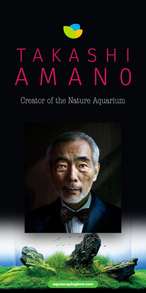 Takashi Amano created a whole new way of aquascaping. He combined Japanese gardening techniques, Wabi-sabi (a Japanese art style that seeks beauty in the imperfect, transient nature of objects), and Zen art. This combination was given the name Nature Aquarium.  The philosophy guiding his new term Nature Aquarium is that a complete ecosystem can only be one where plants and fish live in harmony and all of the species in the aquascape are living in their own perfect living environment. Takashi Amano Aquascaping, Japanese Aquascape, Amano Aquascape, Japanese Aquarium, Takashi Amano, Natural Aquarium, Japanese Art Style, Biotope Aquarium, Fish Aquarium Decorations