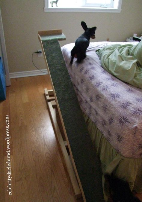 dog ramp. NEED one. Dog Ramp For Bed, Dog Ramp, Small Dog, Folded Up, My Dad, Romantic Wedding, How To Build, Stay Tuned, Small Dogs