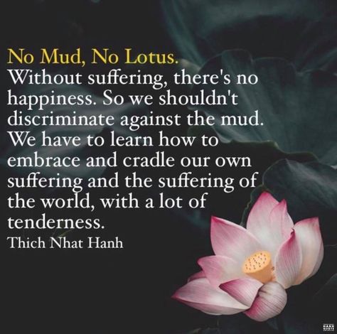 𝕋𝕙𝕚𝕔𝕙 ℕ𝕙𝕒𝕥 ℍ𝕒𝕟𝕙 ℚ𝕦𝕠𝕥𝕖𝕤 on Instagram: “No Mud, No Lotus. Without suffering, there’s no happiness. So we shouldn’t discriminate against the mud. We have to learn how to embrace…” Lotus Quote, No Mud No Lotus, Logic Quotes, Thich Nhat Hanh Quotes, Buddhist Quotes, Highly Sensitive Person, Thich Nhat Hanh, Spiritual Enlightenment, Highly Sensitive