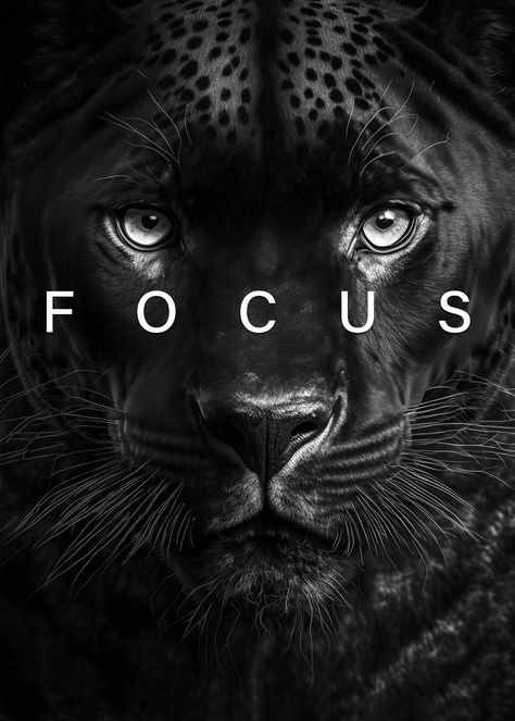 focus black panther poster BUY! Black Panther Quotes, Panther Quotes, Black Panther Animal, Focus Wallpaper, Black Panther Poster, Tiger Quotes, David Vs Goliath, Ebony Magazine Cover, Black Panther Cat