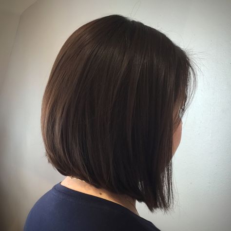 Beveled Haircut, Cute Haircuts, Female Hair, Long Layered Hair, Bob Haircut, Modern Salon, Short Haircuts, Hair Transformation, Bob Cut