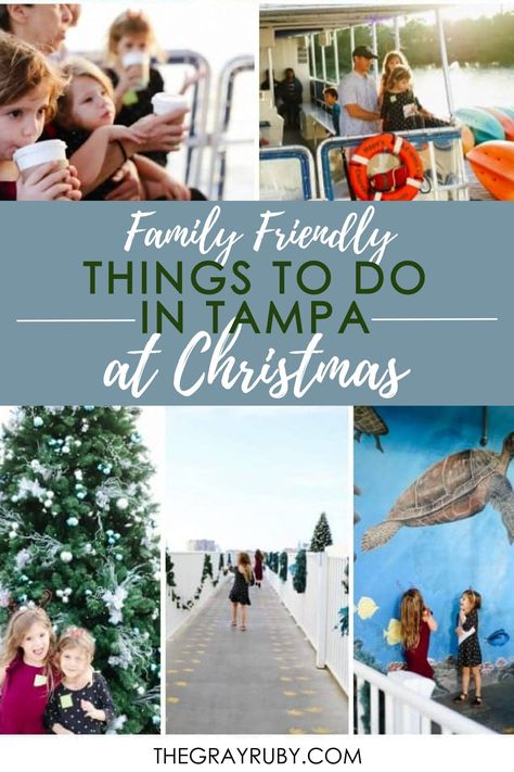 Christmas events in Tampa Florida / Family friendly Christmas events in Tampa Bay / The best Christmas events in Tampa Things To Do In Tampa, Christmas Things To Do, Disney World Christmas, Tampa Bay Florida, Florida Christmas, Christmas Festivities, Mom Of 3, Vacation Itinerary, Christmas Events