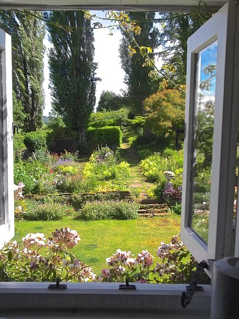 Landscape View From Window, Garden View From Kitchen Window, View From Kitchen Window, Window Overlooking Garden, Window Garden View, Beautiful Window View, Backyard View From Window, Garden Through Window, Beautiful Views From Windows