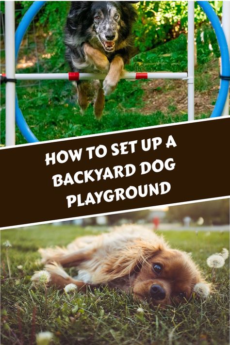 Pet Agility Course Diy, Puppy Playground Backyard Diy, Diy Dog Obstacle Course Outdoors, Puppy Obstacle Course Diy, Agility Course For Dogs Diy, Dog Agility Course Design, Dog Playground Indoor, Diy Dog Obstacle Course, Sensory Garden For Dogs